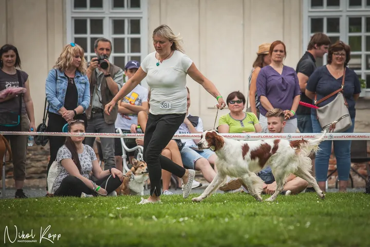 IMG_4682-5