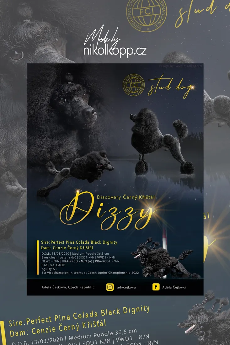 dizy