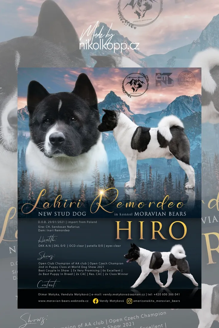 hiro-web