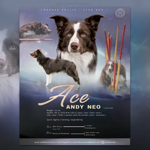 ACE-MODRA-WEB
