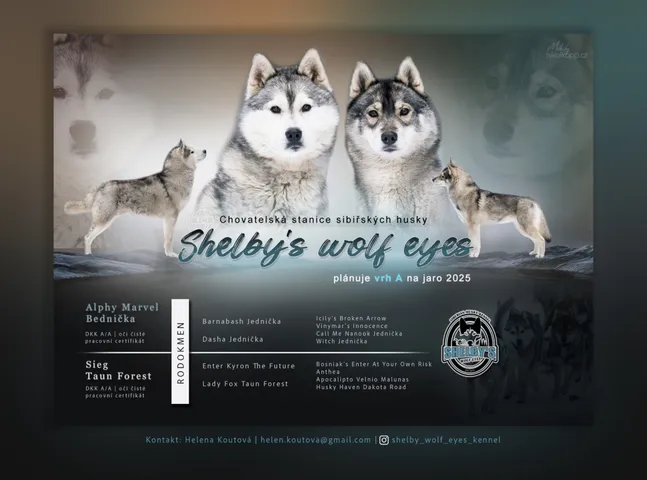 HUSKY-LETAK