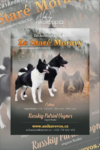 LAJKY