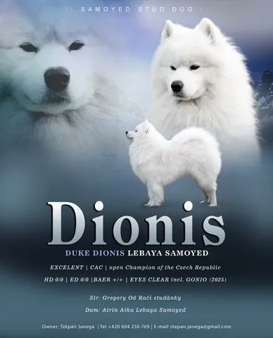 dionis