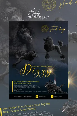 dizy
