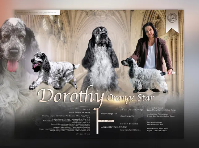 dorotka