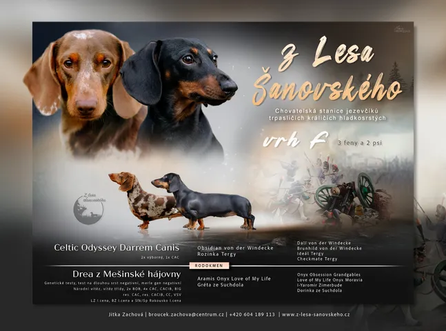 drea-z lesa sanovskeho