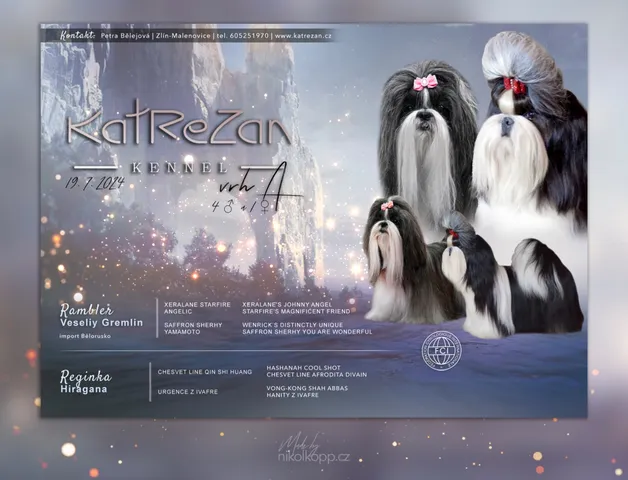 grafika50-WEB