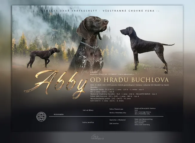 klarka-Abby-web