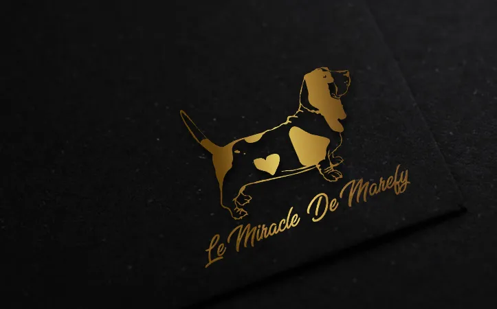 logo-basset