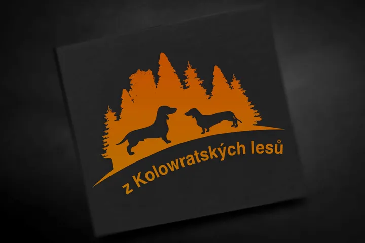 logo-vizual2