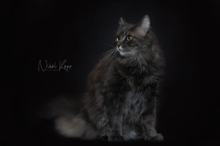 03 Maruška