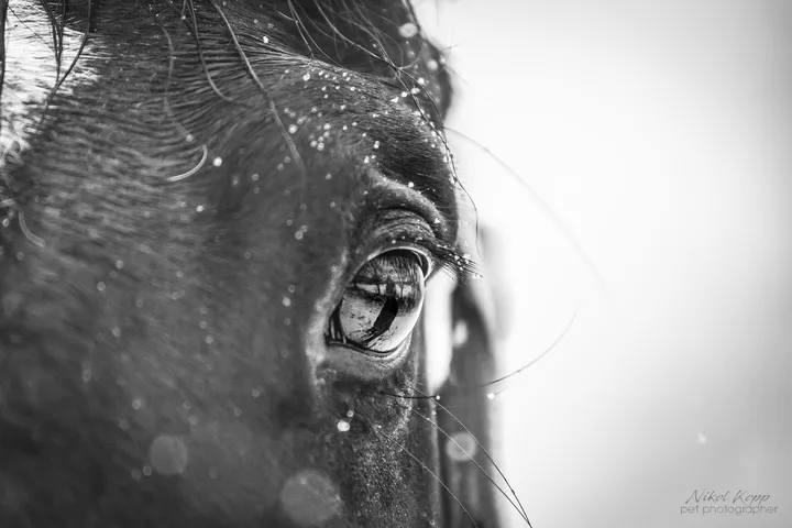 IMG_0572-Edit-0