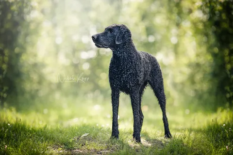 IMG_32914-Edit-3