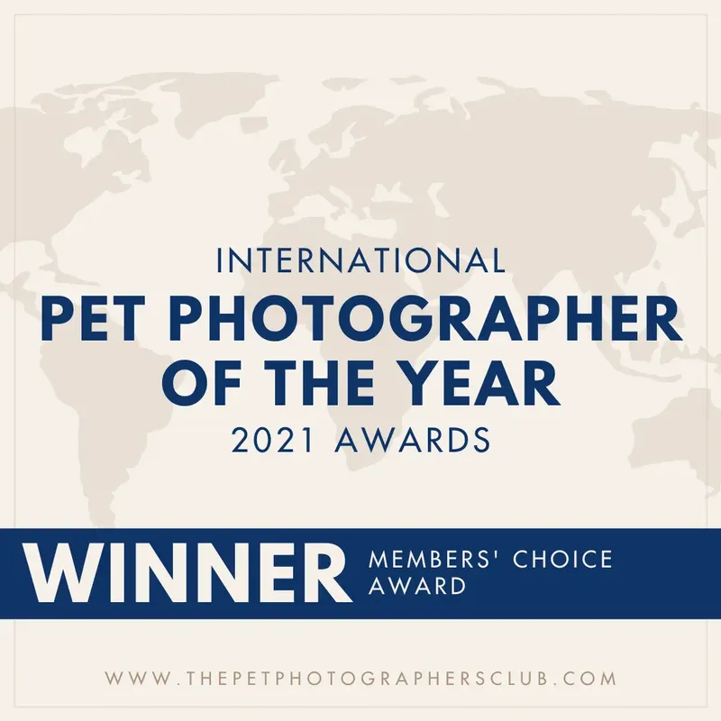 International Pet Photographer of the Year 2021 – Members' Choice