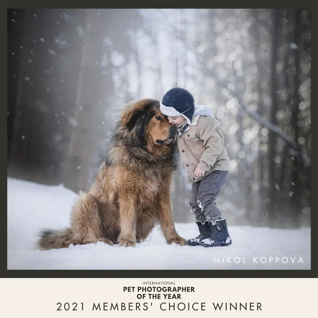 AwardsBadges-2021