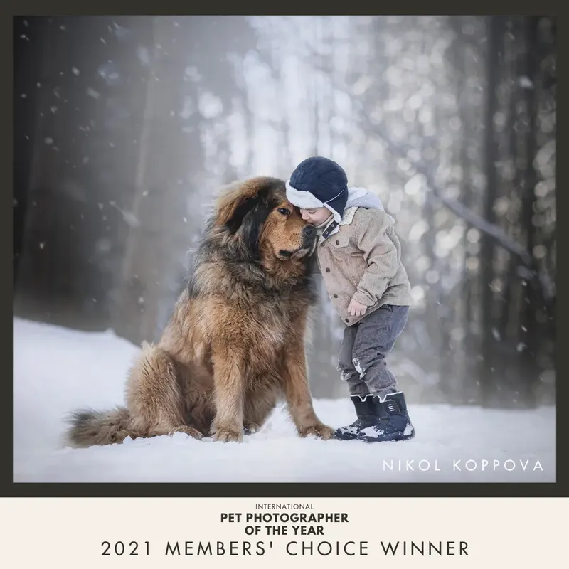 Vítězná fotka Members' Choice 2021